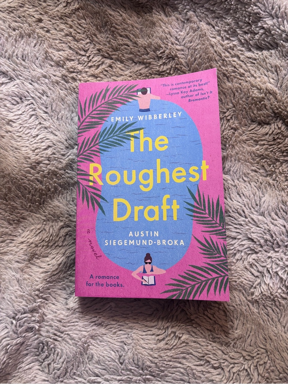 The roughest draft by Emily Wibberley & Austin siegemund-broka